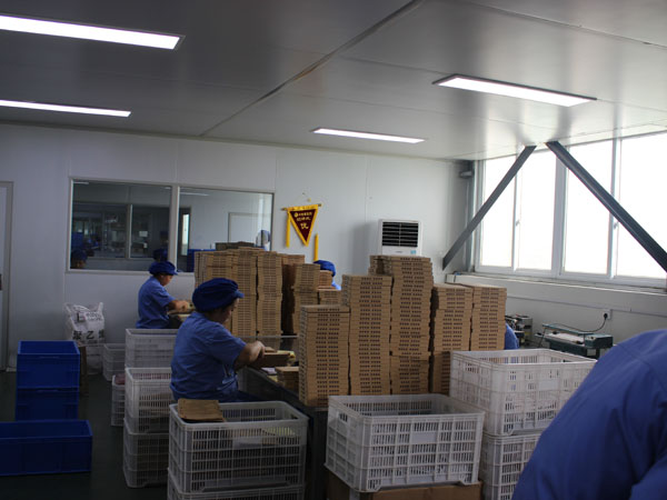 河南哪家膏藥代加工廠家生產(chǎn)的膏藥好？