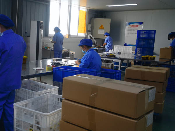 哪里有膏藥加工廠?膏藥貼牌廠家哪家好? 哪里有膏藥加工廠?膏藥貼牌廠家哪家好?